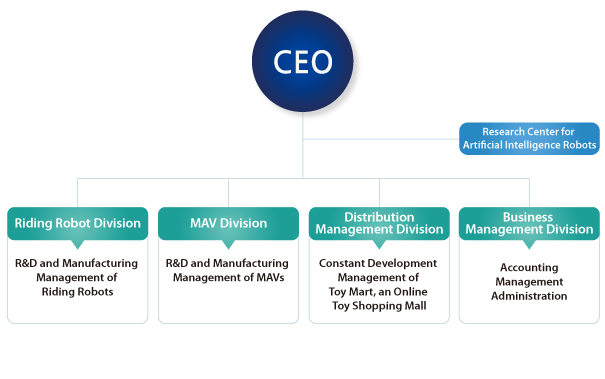 Company organization