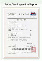 rodottoy inspection report